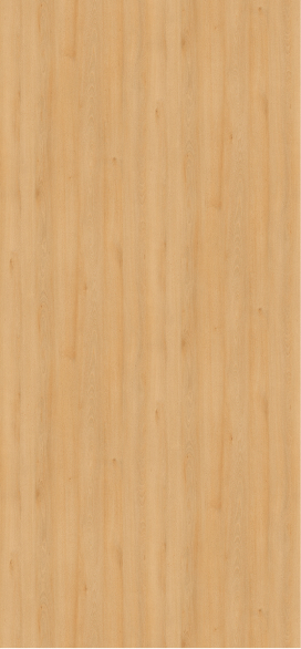 БСП H1910 ST9 0,8*2800*1310 мм Бук луговой Egger